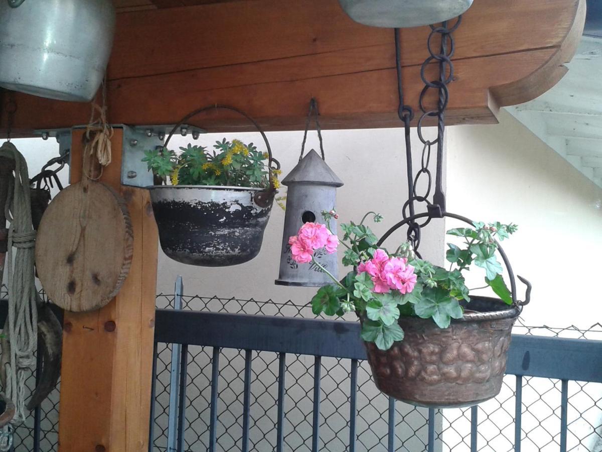 B&B Casa Francesca Alano Di Piave Zewnętrze zdjęcie